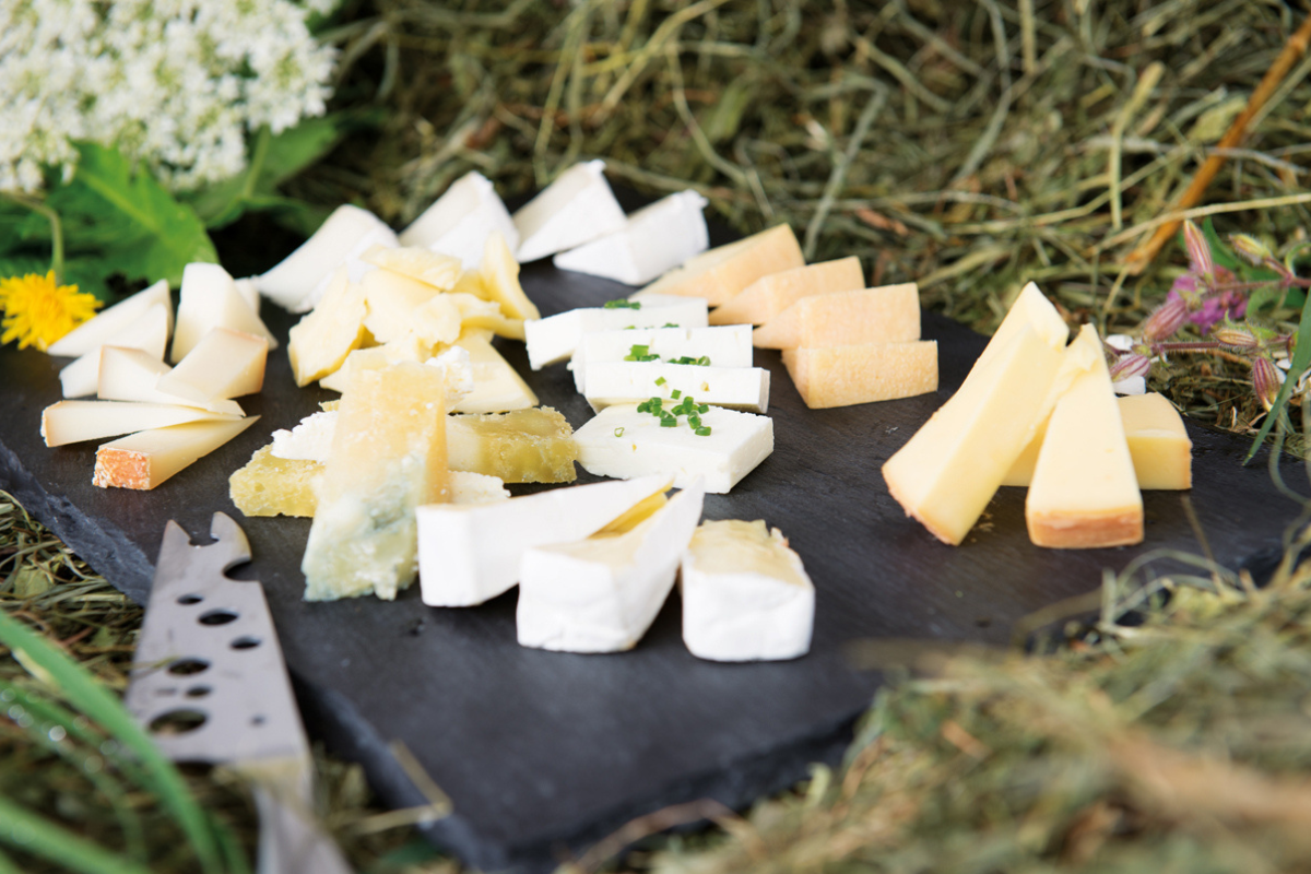 Käse mit Charakter – Regionaler Genuss für deinen Betrieb
